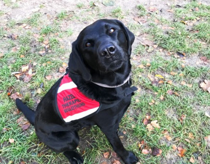 alegria Waldorf Kindergarten Solingen | Kindergarten